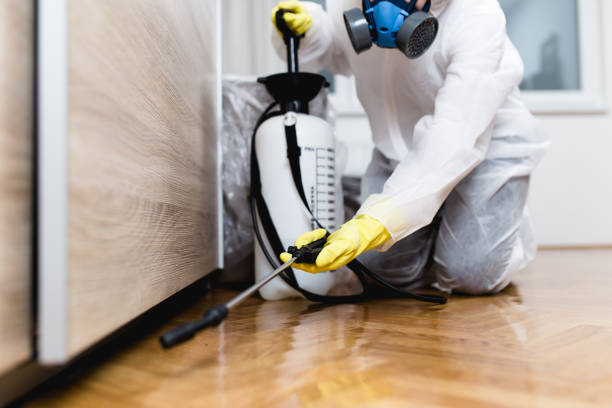 Flea Control Services in Larch Way, WA