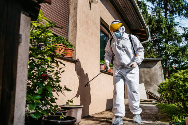 Best Pest Inspection Near Me  in Larch Y, WA