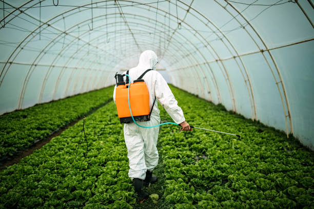 Best Emergency Pest Control  in Larch Y, WA
