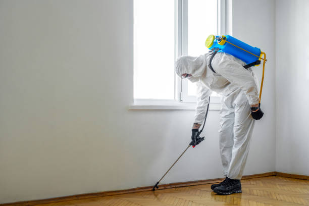 Best Pest Control Near Me  in Larch Y, WA