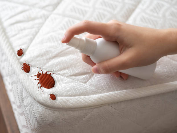 Pest Control Cost in Larch Way, WA