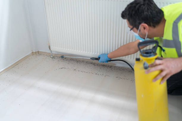 Trusted Larch Way, WA Pest Control Experts