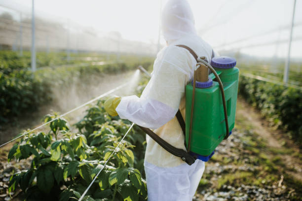  Larch Y, WA Pest Control Pros